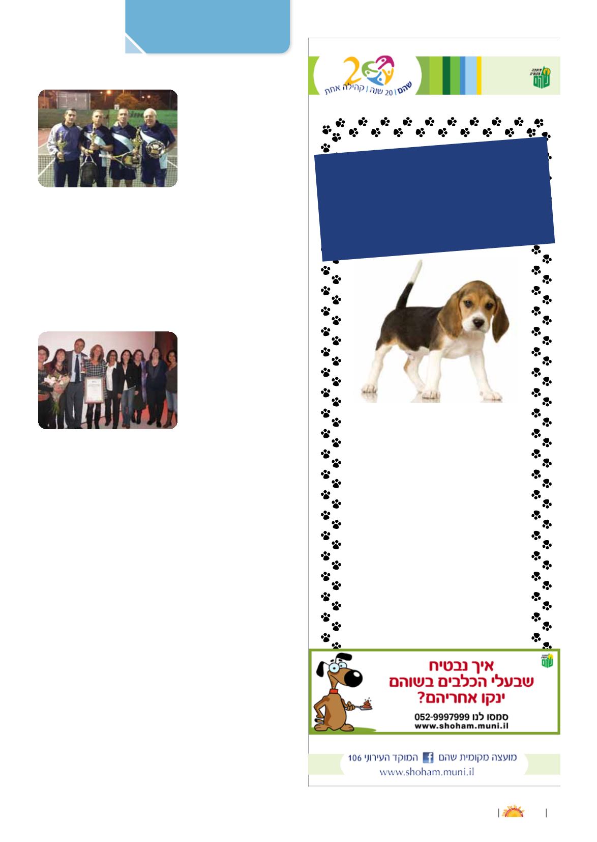 Page Background