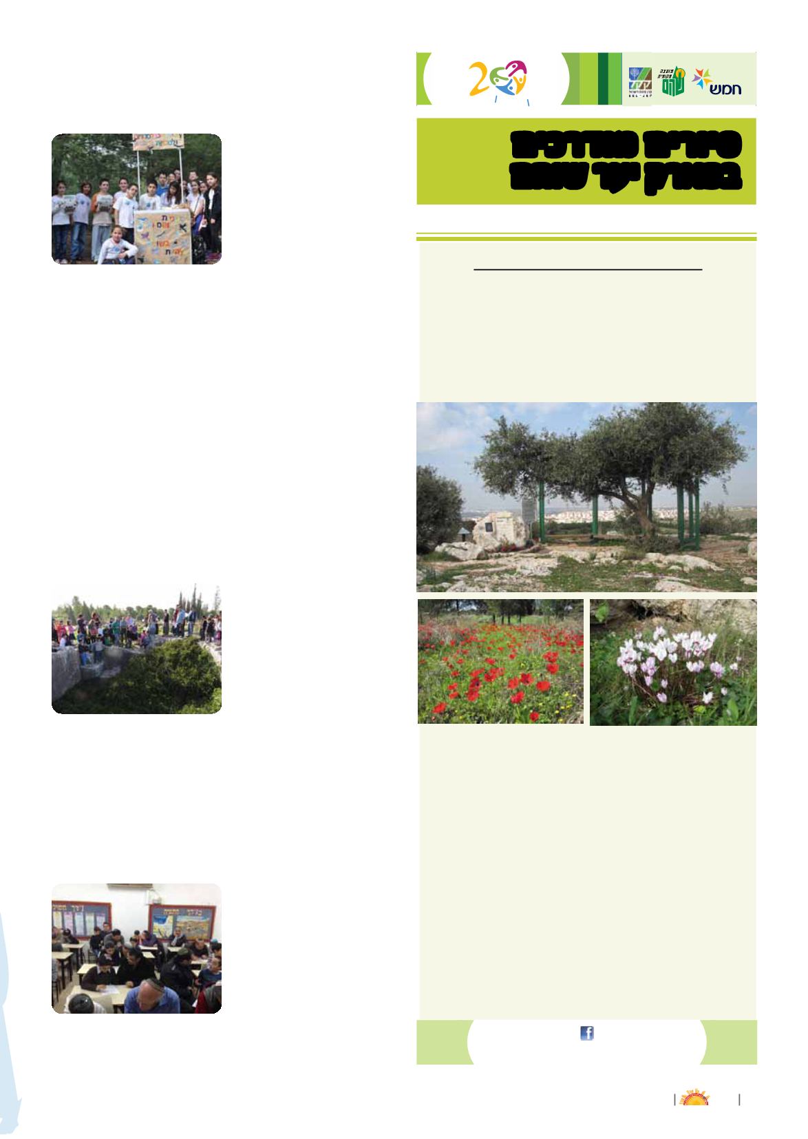 Page Background