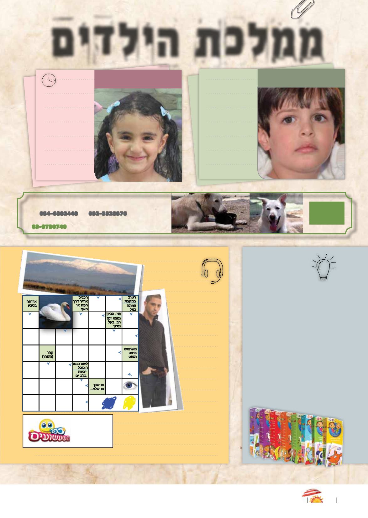 Page Background