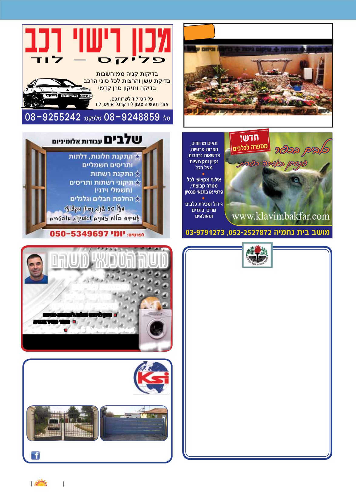 Page Background