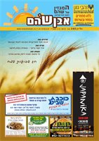 cover28370