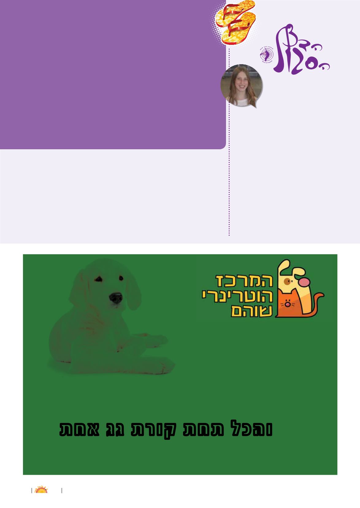 Page Background