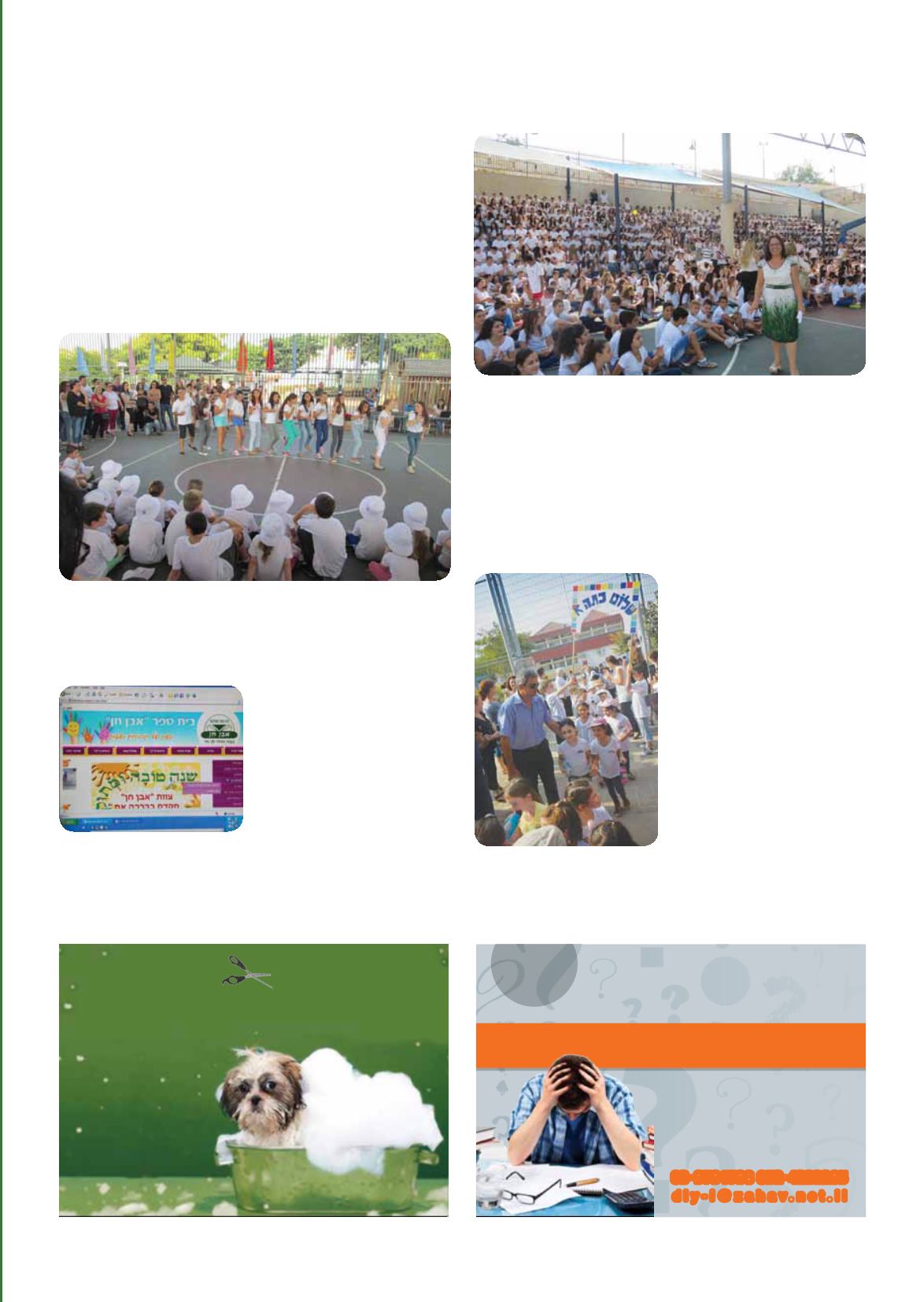 Page Background