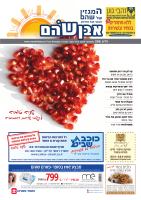 cover28370