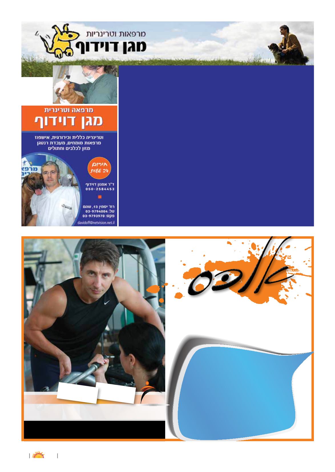 Page Background