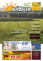 cover28370