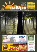 cover28370