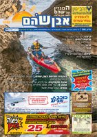 cover28370
